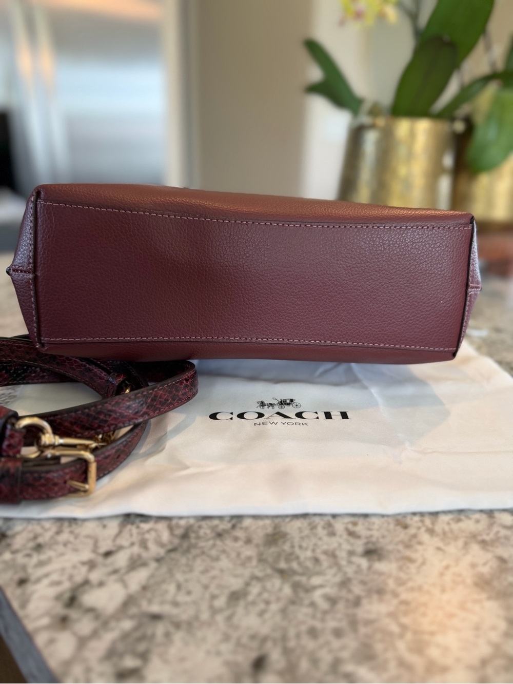 Coach Mollie Bucket (Style CC754) Wine and Python - Picture 5 of 8